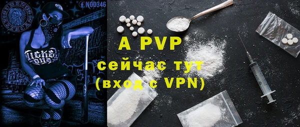 молекула духа Богородицк
