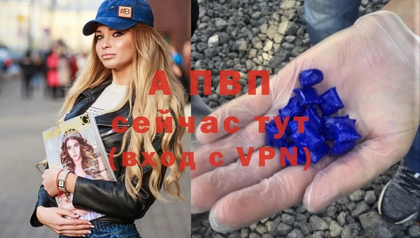 дмт Абаза