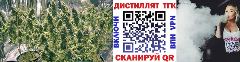 Дистиллят ТГК концентрат  как найти закладки  Кемерово 
