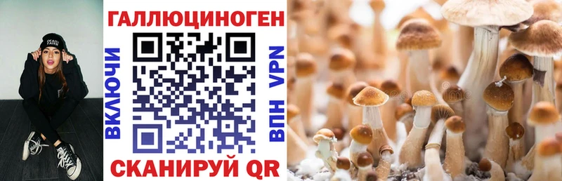где можно купить наркотик  Кемерово  МЕГА как войти  Псилоцибиновые грибы Magic Shrooms 